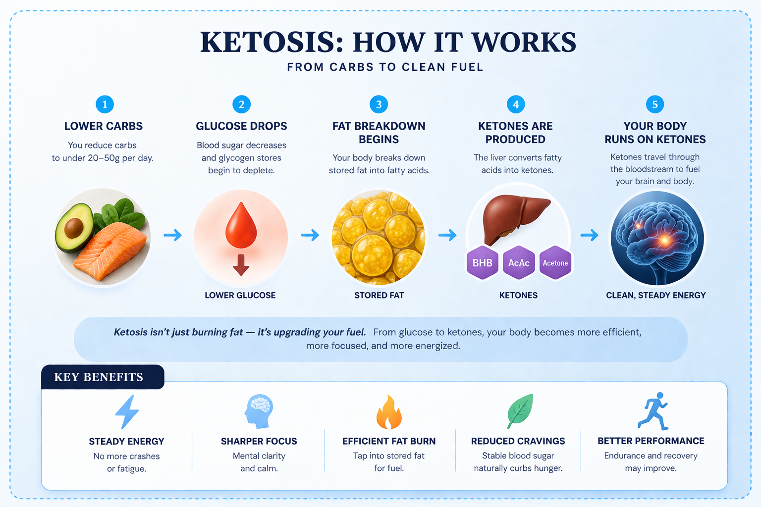 Ketosis Diagram - How the Keto Zone Works